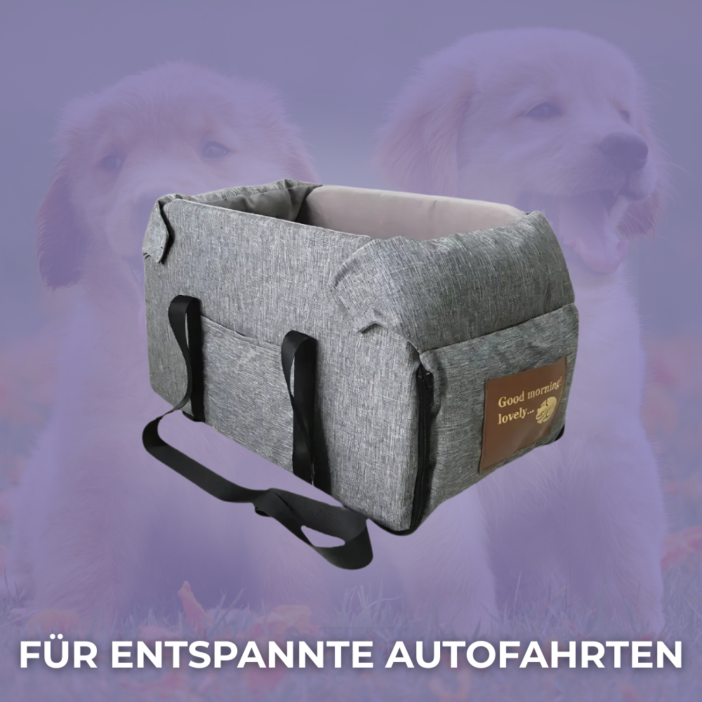 BuddyBox – Fahr nie mehr ohne deinen Copiloten