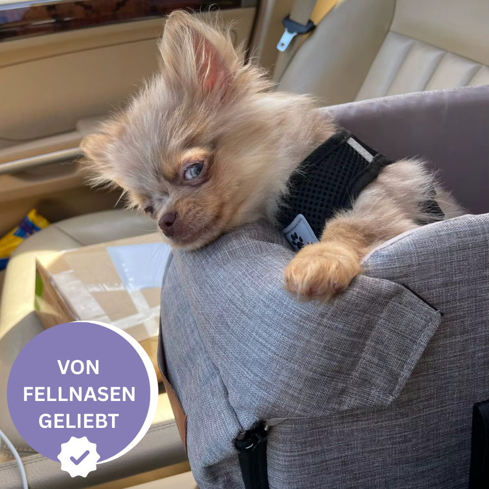 BuddyBox – Fahr nie mehr ohne deinen Copiloten