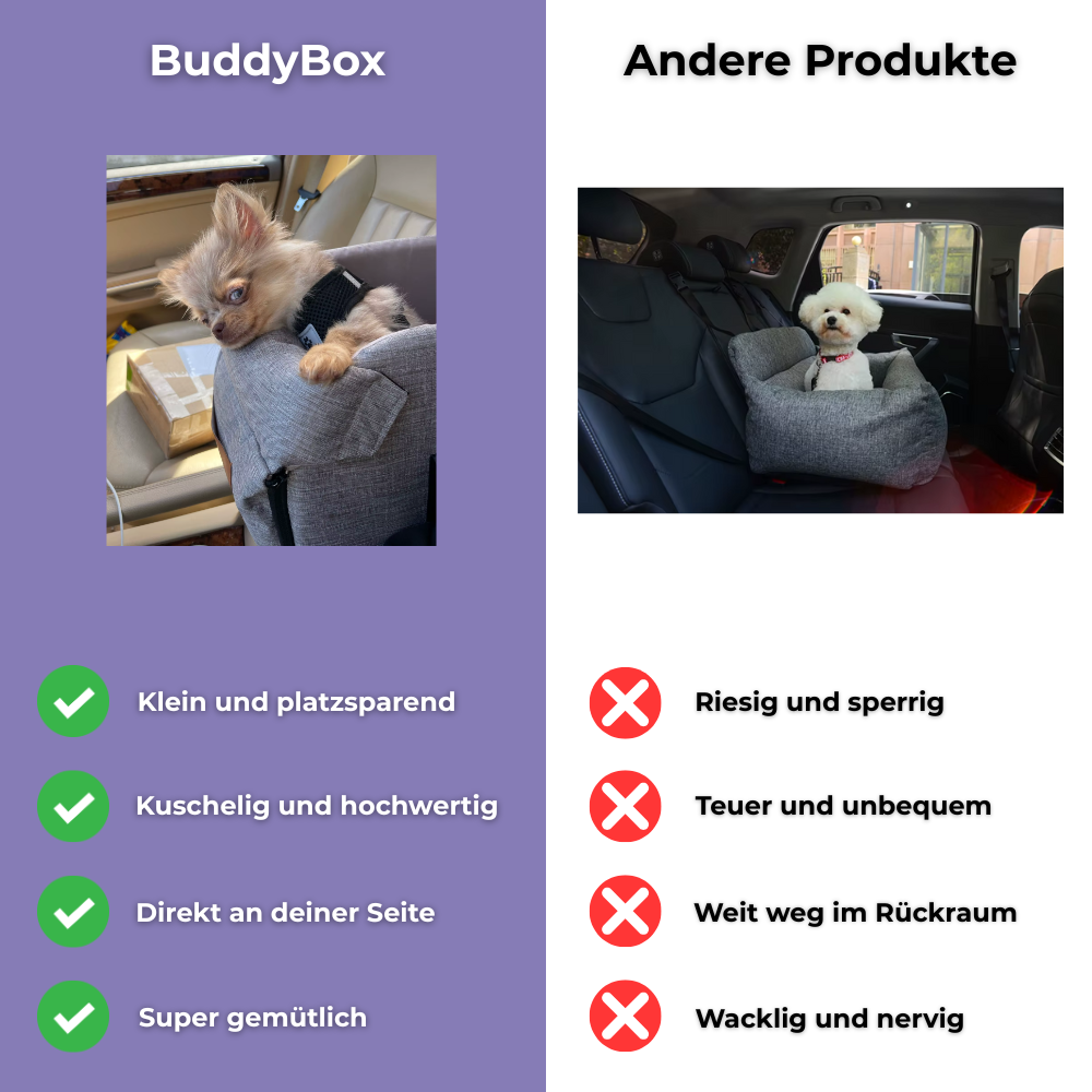 BuddyBox – Fahr nie mehr ohne deinen Copiloten